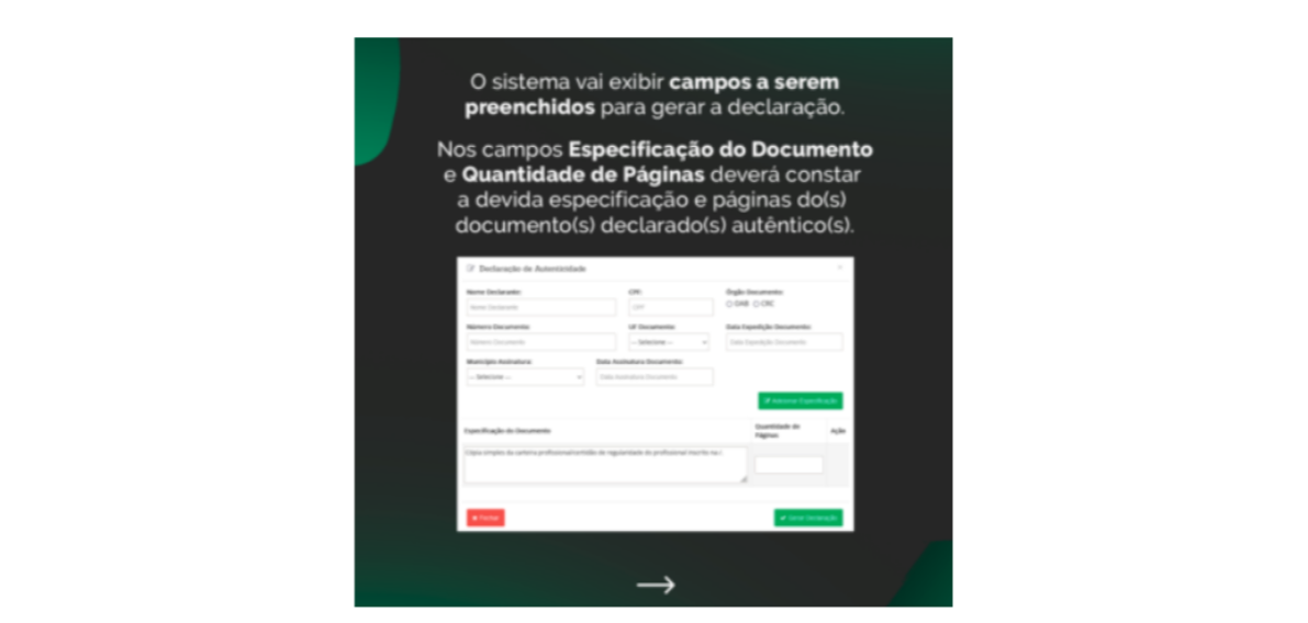 Campos de preenchimento da Declaração de Autenticidade